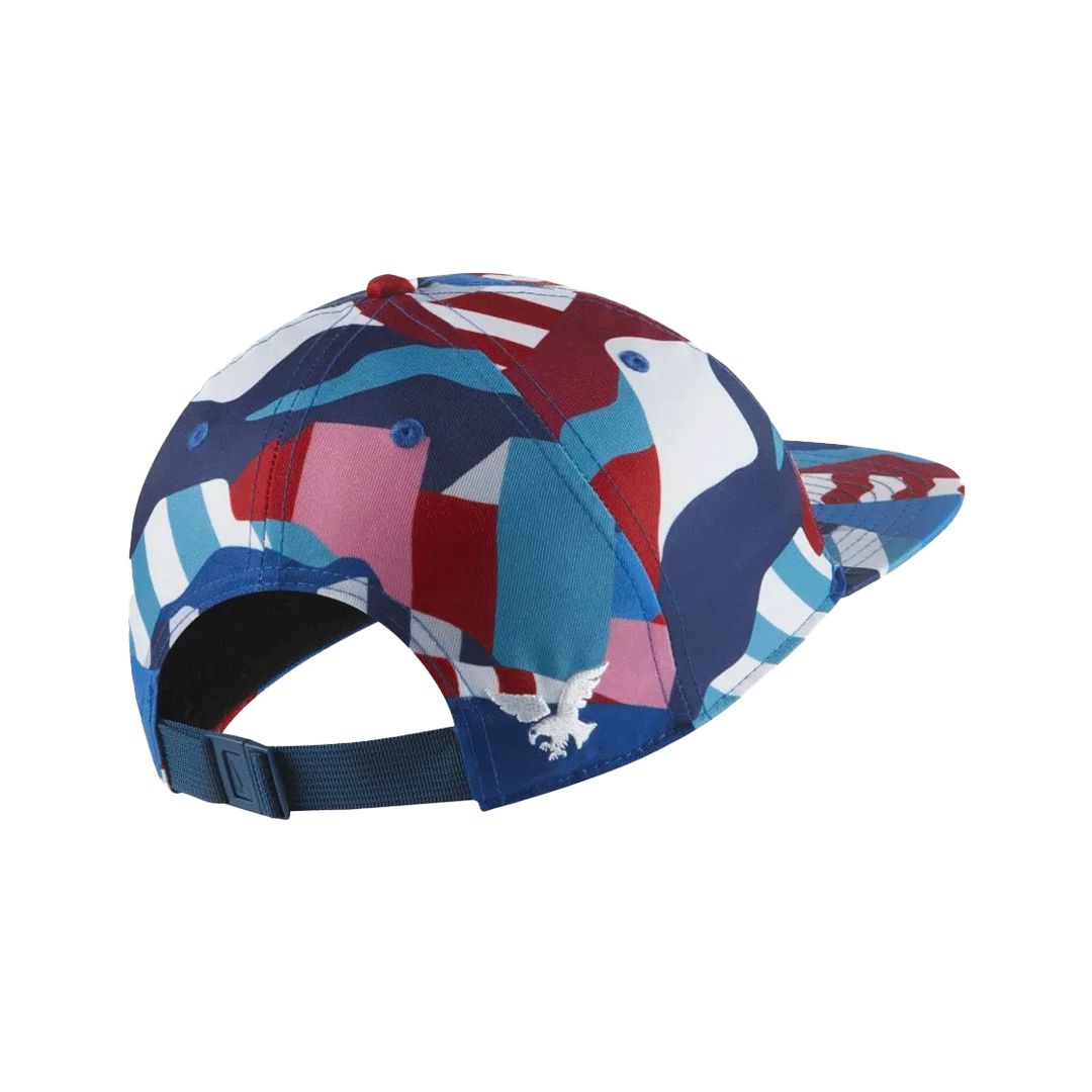 Bon Nike SB X Parra USA